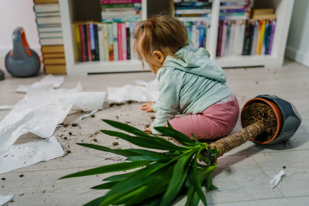 Caucasian baby making a mess at home by tearing a paper towel and crushing a flower pot on the floor